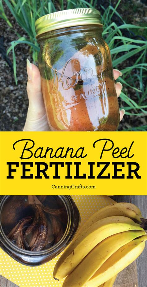 Colorful Adhesive Canning Jar Labels: Banana Peel Compost Tea Garden ...