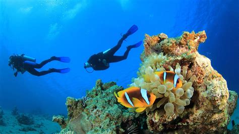 Scuba Diving in the crystal clear waters in Kas of Antalya - Vigo Tours