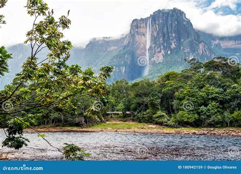 View of Angel Falls, Canaima National Park Stock Image - Image of rainforest, canaima: 180942159