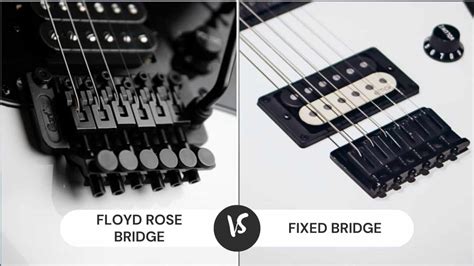 Floyd Rose vs Fixed Bridge: Which Is Better? - CMUSE