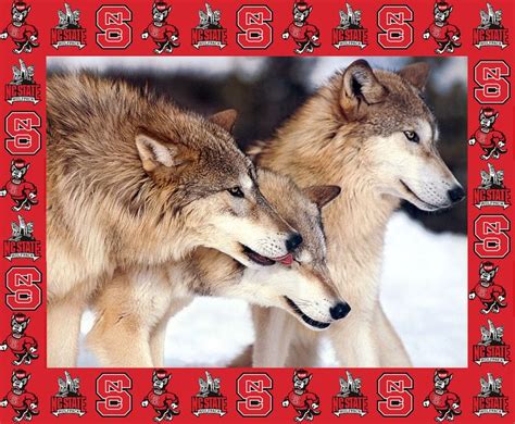 NC State Wolfpack Wallpaper - WallpaperSafari