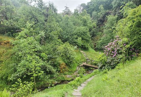 Shining Tor Circular Walk via Goyt Valley From Derbyshire Bridge | 10 ...