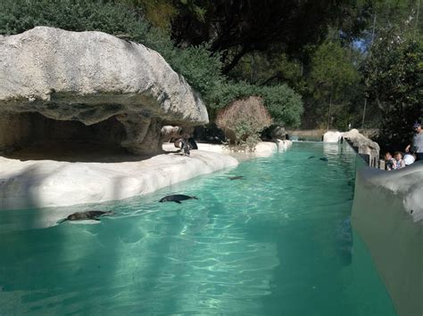 Perth Zoo Tickets | Enjoy The Close Encounter With Wild Animals