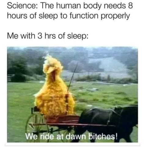 50+ Funny Big Bird Memes That Will Make You Laugh