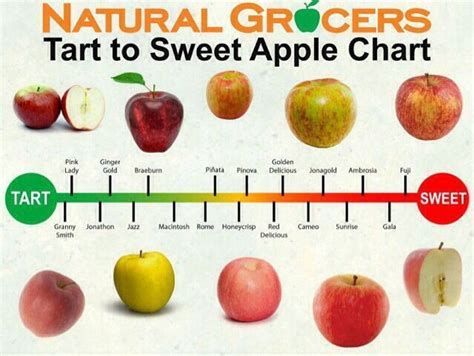 apples tart to sweet chart | Apple chart, Apple varieties, Apple