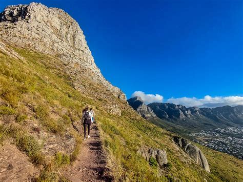 Lion’s Head Trail Hike Guide - The Scribs and Nibs