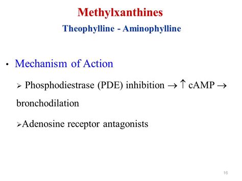 Kalorie Versicherung Aufnahmegebühr theophylline mechanism of action Rechte geben Kollision Auspuff