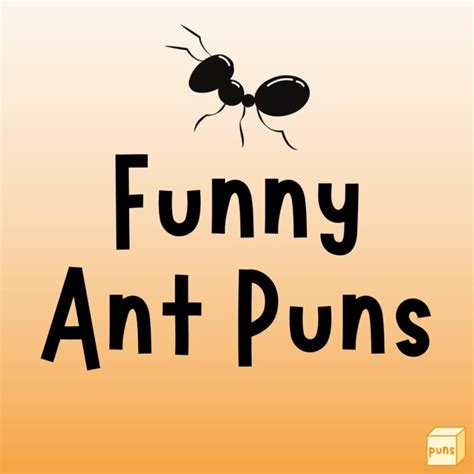 115+ Funny Ant Puns to Make You Laugh Ant-il You Cry - Box of Puns