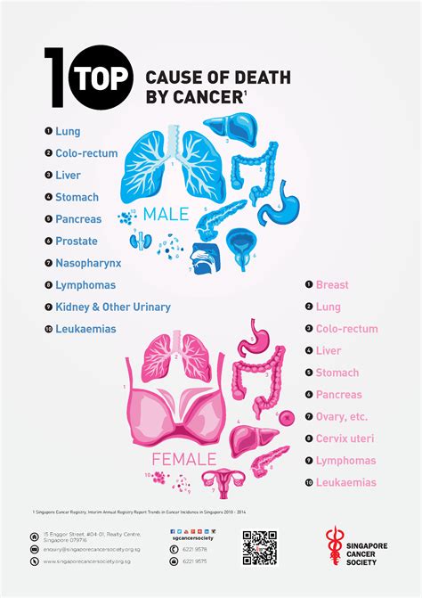 Cancer Poster 4