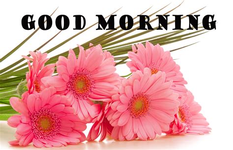 Good Morning Flowers Wallpaper Pictures Images For - Beautiful Flowers Bouquet Hd (#246659) - HD ...