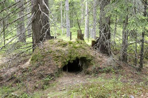 Bear s den stock photo. Image of excavated, entrance - 42018258