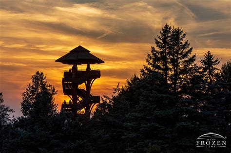 Cox Arboretum MetroPark | Art of Frozen Time