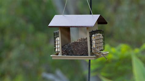 Outdoor Wild Bird Feeder Hanging Fruit And Suet Feeder Waterproof Bird ...