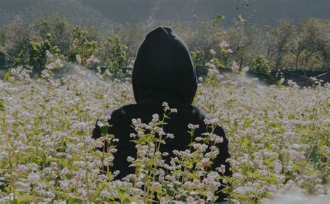 Photo of Person Wearing Black Hoodie Standing On Flower Field · Free Stock Photo