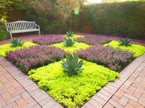 Garden With Drought Tolerant Creeping Sedum Stonecrop | Sedum garden, Plants, Succulents garden