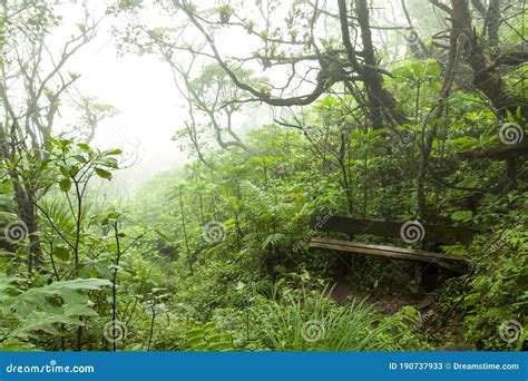 Mombacho Volcano, Nicaragua Stock Image - Image of volcano, landscape ...