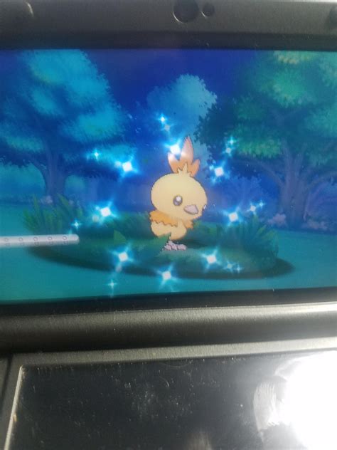 [6] I found a shiny Torchic at 4537 soft resets! I can finally start my ...