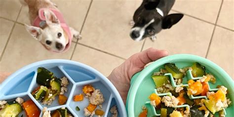 Homemade Dog Food For Small Dogs | Chihuahua Dog Food Recipe