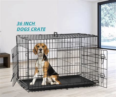 Top Paw® Single Door Folding Wire Dog Crate Dog Crates Kennels PetSmart | atelier-yuwa.ciao.jp