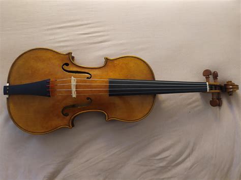 My new baroque violin : violinist