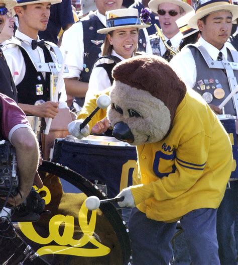 Birthday Bear: Iconic Oski turns 75 | Berkeley