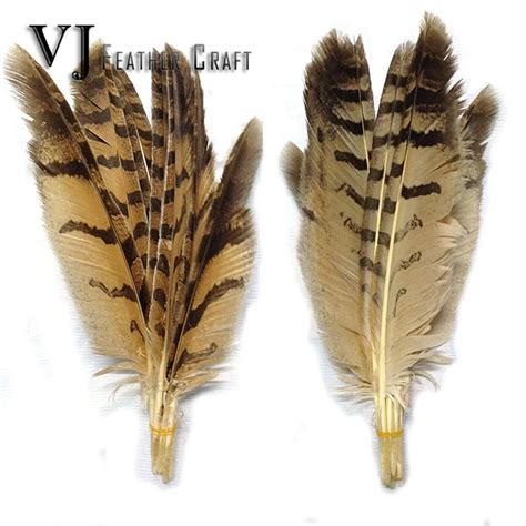 10pcs/lot 28 40cm NATURAL color Long Natural Owl Feather Quills,Owl ...