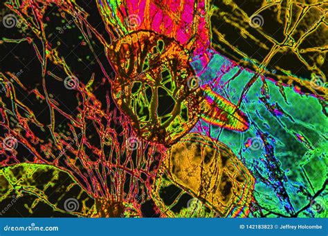 Digitally Manipulated, Abstract Micrograph of Olivine Pyroxenite with ...