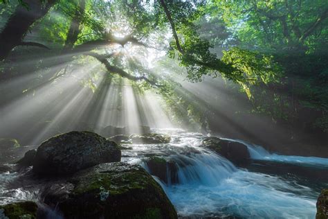 Visit Japan: Kikuchi Gorge, in Kumamoto, is famous for its natural ...