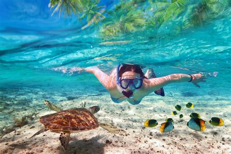 Donde hacer snorkel en Isla Mujeres 2021 – Lugares imprescindibles
