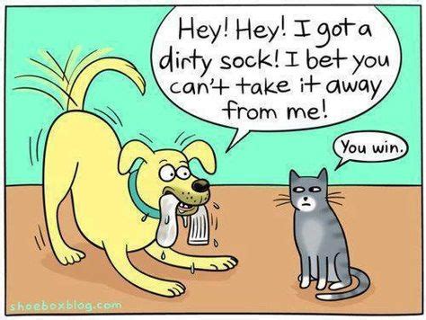 Funny dog and cat cartoon | HUMOR: Cute | Funny cats, Funny cats, dogs ...