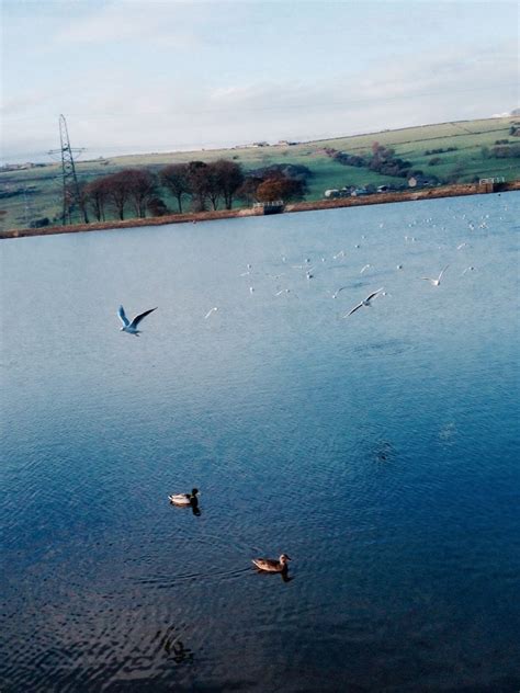 Reservoir in Rishton Nottingham, Reservoir, Beloved, Favorite Places ...