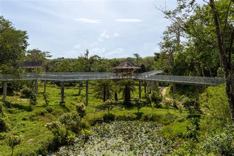 Best Elephant Sanctuary in Phuket: What Makes it Special?