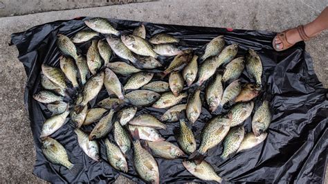 Bayou Pigeon, Louisiana : r/Fishing