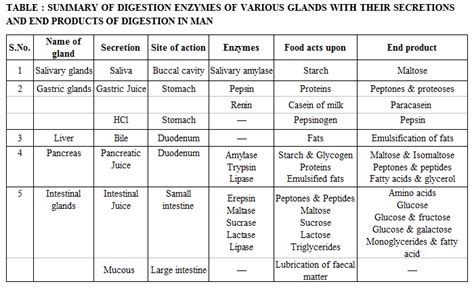 Summary Of Digestion Enzymes Of Various Glands With Their Secretions And End Products Of ...