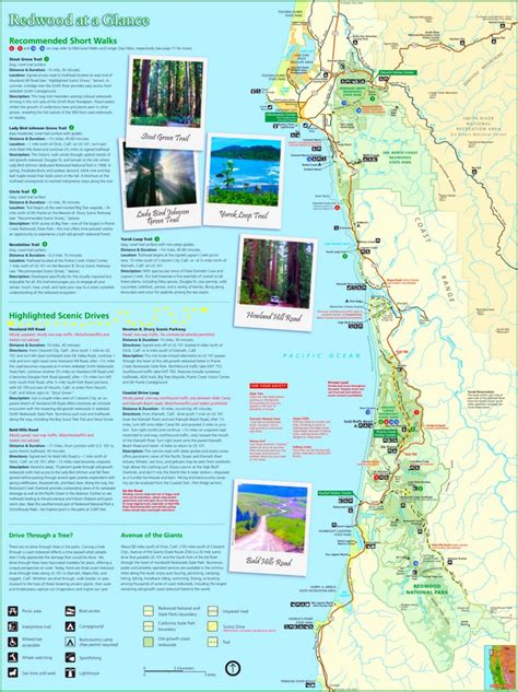 Large detailed tourist map of Redwood National Park