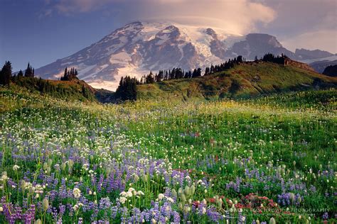 Alan Majchrowicz Landscape Nature Photographer