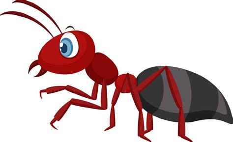 Red ant isolated on white background 8334946 Vector Art at Vecteezy