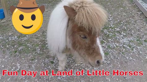 Fun Day:Land of Little Horses - YouTube