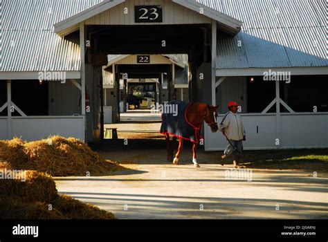 Lexington racehorse hi-res stock photography and images - Alamy