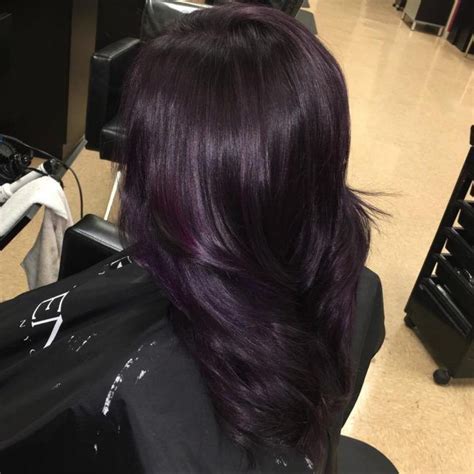 Image result for deep violet chocolate brown hair color ... | Plum hair, Hair color plum, Dark ...