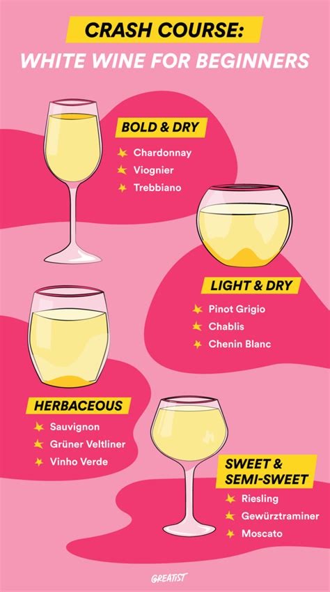 White Wine for Beginners: Everything You Need to Know