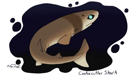 Shark Week 2020: Day 06 - Cookiecutter Shark by RileyTNT on Newgrounds