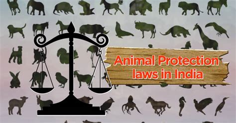 Did you know about these 7 animal protection laws in India?