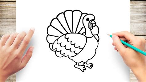 How to Draw Turkey Step by Step for Kids Easy - YouTube