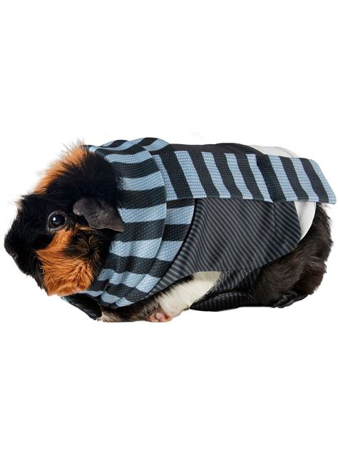 Despicable Me Gru Small Pet Costume