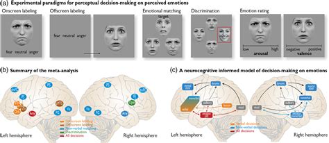 Human Brain Mapping | Neuroimaging Journal | Wiley Online Library