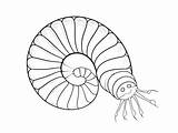 Millipede Coloring Escape  Page sketch template
