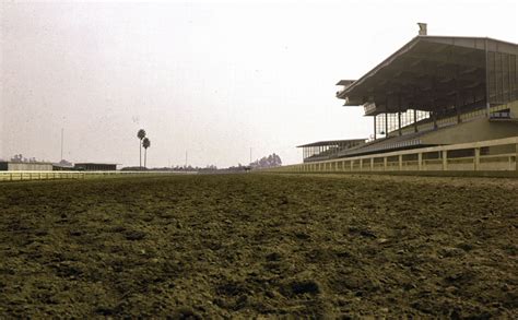 Los Alamitos Race Course In All Its Decaying Glory | Essay | Zócalo Public Square