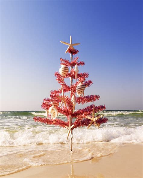 Christmas Beach Wallpaper ·① WallpaperTag