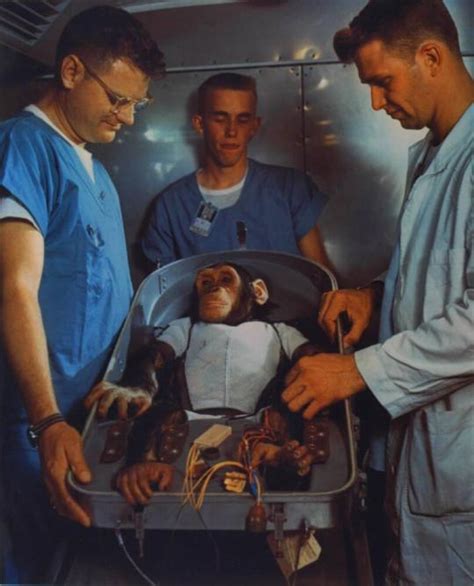 Chimpanzee Ham being prepared for a successful suborbital flight in a ...